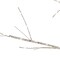 Kurt Adler 5-Foot White Birch Twinkle Warm White Fairy LED Twig Tree